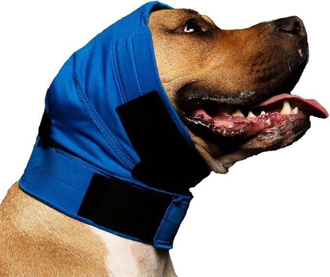 No Flap Ear Wrap (Blue Pinpoint Mesh, Large)