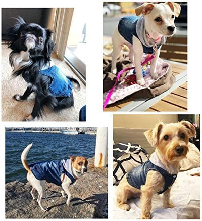 SILD Pet Clothes Dog Jeans Jacket Cool Blue Denim Coat Small Medium Dogs Lapel Vests Classic Hoodies Puppy Blue Vintage Washed Clothes (Grey,XL)
