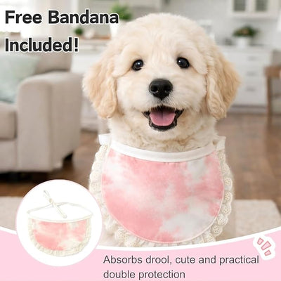 Surgery Recovery Suit for Female/Male Dog After Spay/Neuter, Soft Bandana Set Included, E-Collar Cone Alternative to Stop Licking Abdominal Wounds, Small Dogs Full Body Onesies, Medical Pet Bodysuit