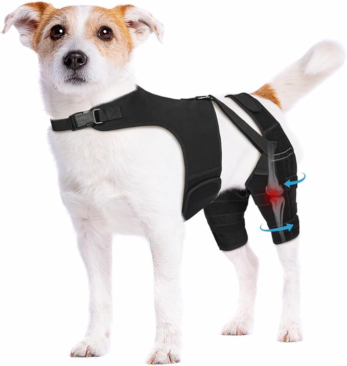 Dog Knee Brace for Torn ACL Hind Leg– Dog Leg Brace with Metal Stabilizers for Dogs with Torn ACL, Luxating Patella, Ligament Injuries & Hip Dysplasia, Limping or Osteoarthritis Recovery, XS