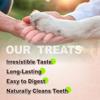A Freschi srl Turkey Tendon of Dog Bones Shape, USA-Sourced, Limited-Ingredient, Rawhide-Free, Long-Lasting, All-Natural Dog Treats for Medium Dogs, 20 Count Box (M)