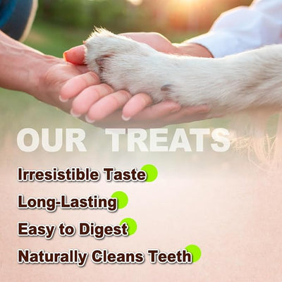 A Freschi srl Turkey Tendons for Dogs, USA-Sourced, Healthy Dog Treats, Rawhide-Free Puppy Chews, Long Lasting, All Natural, Hypoallergenic Dog Treats for Large Breeds, 10 Count Box Ring (L)
