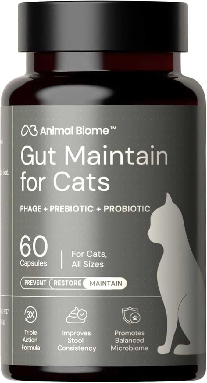 NEW Probiotics for Cats with S Boulardii (60 Capsules) KittyBiome - Gut Maintain Triple-Action Phage, Prebiotics & Probiotic Cat Supplements for Digestive Health, Open for Easy Food Topper