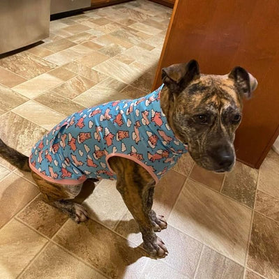 Pittie Clothing Pit Bull Muscle Tee for Dog Breed Dog Shirts Pet Printed Clothes Cool Funny