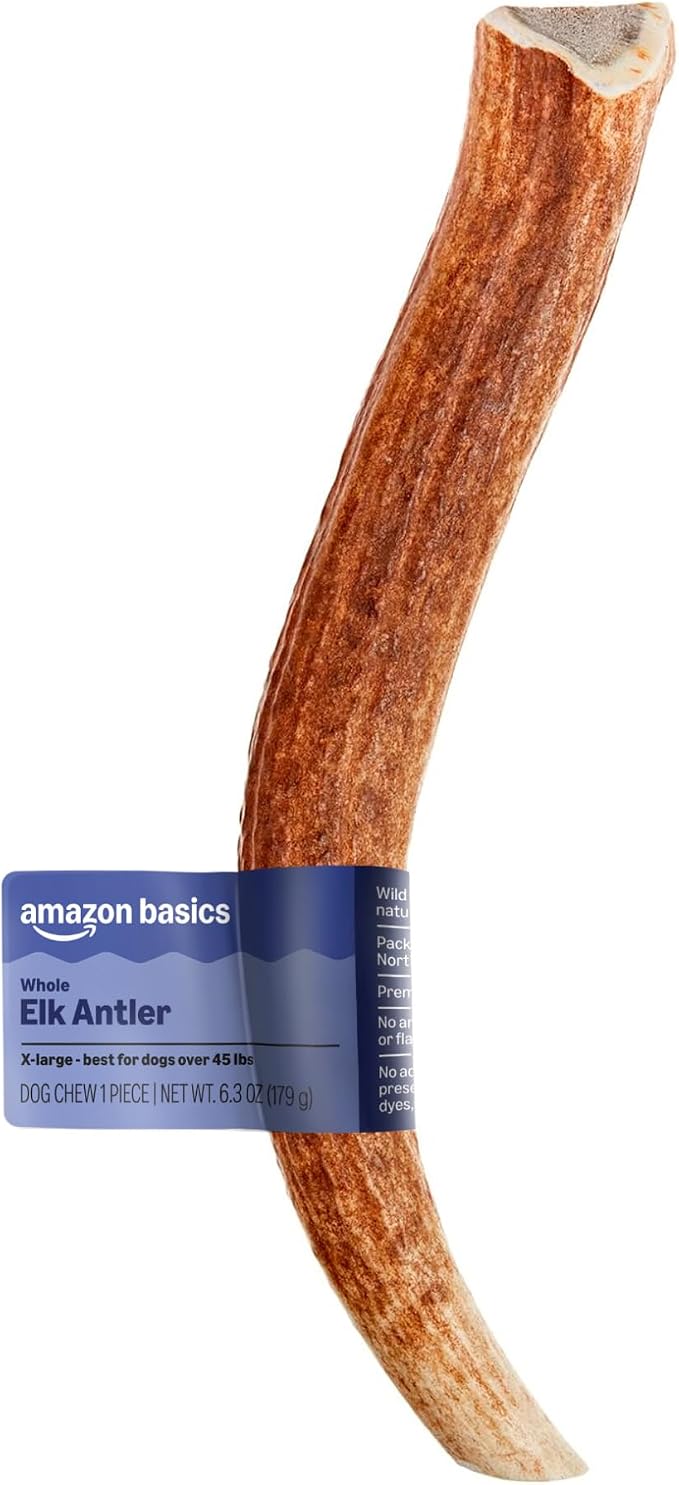 Elk Antler - Whole - Long Lasting for Aggressive Chewers - X-Large 9.5-10.5 inches (Best for Dogs Over 45 lbs) (Previously Wag)