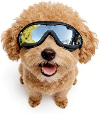 Enjoying Dog Sunglasses Small Breed, Dog Goggles UV Protection, Cycling Eye Protection for Small Dogs, Outdoors Breathable Windproof Dustproof Anti-Fog, Adjustable Straps, Black