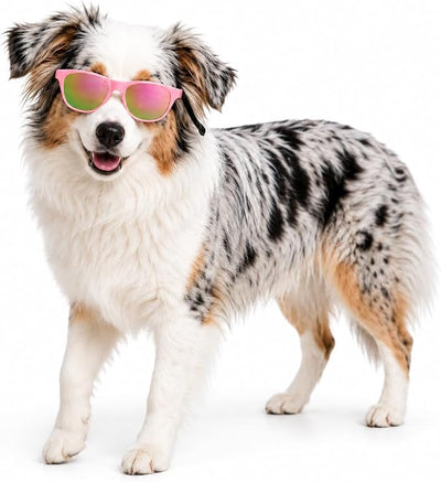 G006 Dog Pet Retro 80s Costume Sunglasses for Small Breed (M, 20-40 lbs, Pink-Pink Mirror)