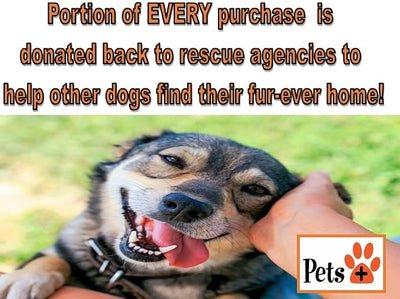 Pets Plus Premium Dog Treats – Natural Beef Hooves, 3 Pack | Long-Lasting Chews for Medium & Large Dogs, Supports Dental Health, Boredom Relief & Chewing Instincts