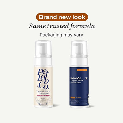 Petlab Co. Itch Relief Mousse - Moisturize, Deodorize, & Support Dry Skin with This Dry Dog Shampoo. Unique Quick-Dry Formula, Coat Comfort, 7 Fl Oz