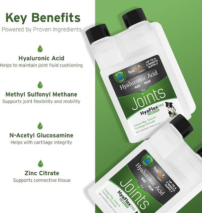 Hyalogic HyaFlex PRO – Hyaluronic Acid Joint Supplement for Dogs – Glucosamine & MSM Hip & Joint Support – for Dog Joints – 30-60 Day Supply - 240ml