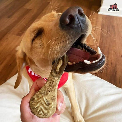 Redbarn Chew-A-Bulls, 6 Pack – Large Brush Shape Dog Dental Treats – Daily Oral Care with Fun Ridges & Grooves, All Natural Ingredients, Highly Digestible Chews & Low in Fat