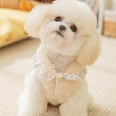 Lace Bow Decoration Puppy Coats Fleece Winter Dog Shirts for Small Medium Dogs Chihuahua Yorkie Teacup Christmas Outfit