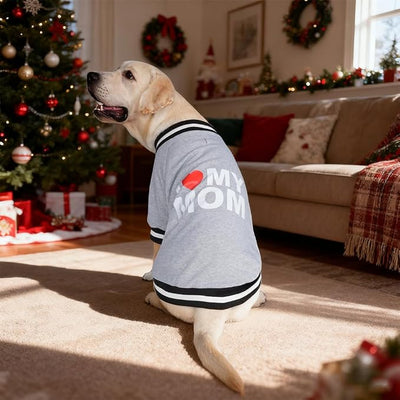 Cute Dog Sweater - Stretchy Dog Pullover Sweatshirt,Soft and Warm Winter Clothes for Boy & Girl Dogs,Suitable for Puppies & Adult Dogs (Light Grey (Mom), X-Small)
