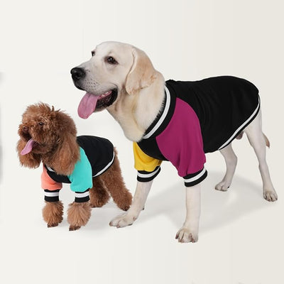 Cute Dog Sweater - Stretchy Dog Pullover Sweatshirt,Soft and Warm Winter Clothes for Boy & Girl Dogs,Suitable for Puppies & Adult Dogs (Black+Yellow+Purple, X-Small)