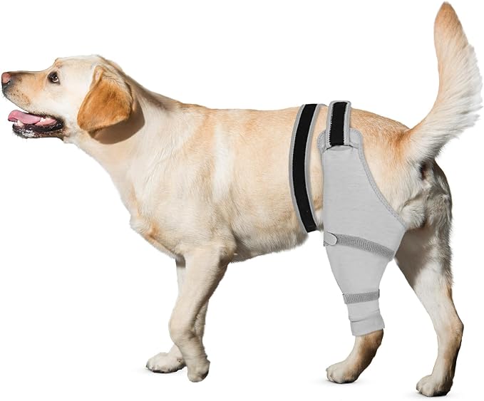 Dog Rear Leg Sleeve to Stop Licking, Hind Leg Protector After TPLO Recovery, ACL Surgery, Wounds or Skin Issues, Soft Breathable Comfortable Cover for Large Medium Small Dogs, 2XL,Right, Light Black