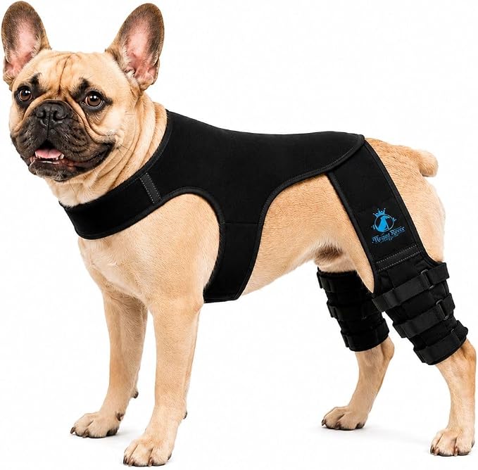 Dog Rear Knee Brace for Small & Medium Breeds, Adjustable Hind Leg Support for ACL/CCL Injury Recovery, Joint Stability, Ligament Protection & Injury Prevention (M)