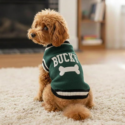 Personalized Dog Sweater, Custom Knit with Name and Bone Pattern, Soft and Warm Knitwear for Dogs and Cats, Ideal for Pet Lovers
