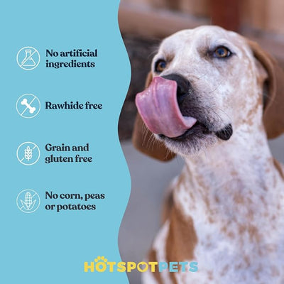 hotspot pets Beef Tendon Chews for Dogs - 8 Inch All Natural, Free-Range, Grass-Fed Premium USDA Gambrol Beef Tendon Stick Treats - Made in USA (1 Pound - 21-23pcs)