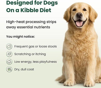 Canine NutriGreens - Natural Dog Vitamins & Probiotics for Dogs. No Messy Powder. Includes Spirulina, Kelp & Antioxidant Berry Mix. 6-in-1 Dog Supplements & Vitamins Chews. Super Greens for Dogs.