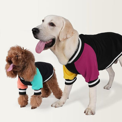 Cute Dog Sweater - Stretchy Dog Pullover Sweatshirt,Soft and Warm Winter Clothes for Boy & Girl Dogs,Suitable for Puppies & Adult Dogs (Black+Blue+Orange, Medium)