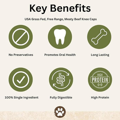 Top Dog Chews Knee Caps, 20 Count, Dog Beef Chew Bones, Long Lasting Treats for Aggressive Chewers, Perfect for Large, Medium, or Small Dogs, Made in USA