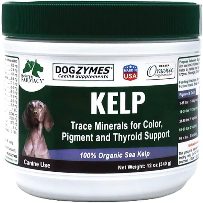 Organic Norwegian Kelp for Pets, a Valuable Nutrition Source Rich in Iodine to Support Gland Function, Especially The Thyroid (12 Ounce)