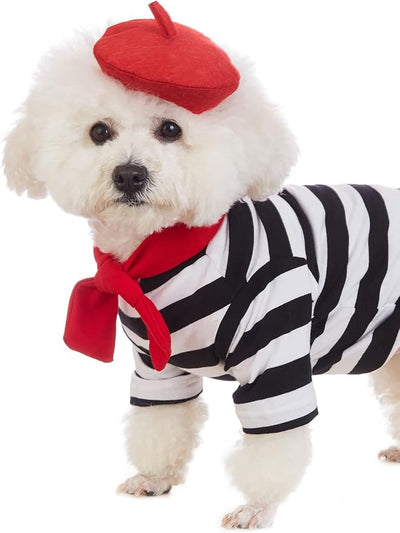 Artist Dog Costume with Funny Hat Painter Pet Clothes for Small Dog Shirts Puppy Summer T-Shirt (2XL) Black