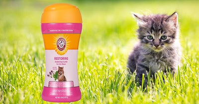 Arm & Hammer Restoring Cat Litter Box Deodorizing Crystals Litter Deodorizer Additive Absorbs Odors Restores Freshness Between Changes Clary Sage and Mint Scent 15 OZ Single and Multi-Cat Households
