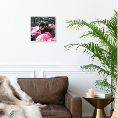 3dRose A Sweet Black Doggie on a Pink Blanket in Back seat of car 10x10 Wall Clock