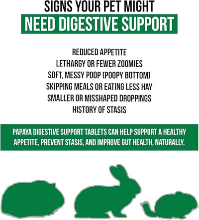Digestive Support, Papaya by Sherwood Pet Health (100 Tablets - 60 Grams). Contains Natural Motility Herbs that Regulate the Digestive Tract, Improve the Gut microbiome and Stimulate the Appetite.