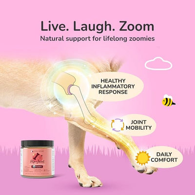 kin+kind Organic Turmeric Hip and Joint Supplement for Dogs and Cats – Supports Healthy Joint Mobility and Inflammatory Response – Vet Formulated – 3x4 oz