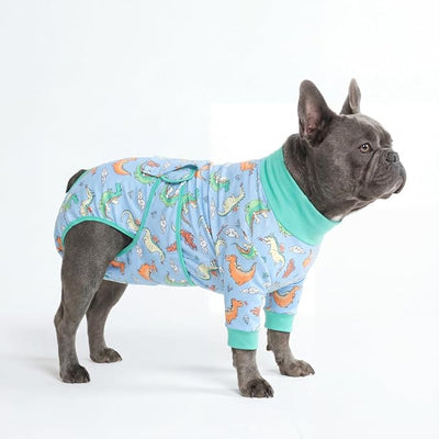 Spark Paws Dog Surgery Recovery Suit – Dog Recovery Suit After Surgery, Anti-Lick Dog Onesie, Abdominal Wound Protector, Soft Cone Alternative for Spay Neuter Male Female Pet Recovery - Dragons - XL