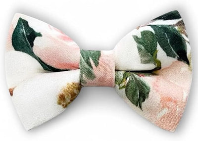 Detachable Dog Bow Tie, Slide-On Pet Bowtie for Collars, Stylish Durable Dog Lover Accessory Small, Medium & Large Dogs (Blush Floral, Large (4.5in Wide))