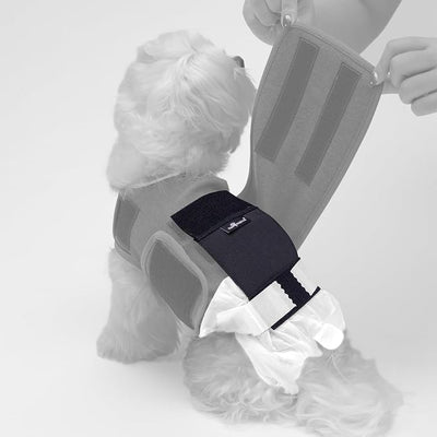 Paw Inspired Stay Put Dog Diaper Holder for Use with Calming Anxiety Vest (Sold Separately), Compatible with Disposable or Washable Dog Diapers