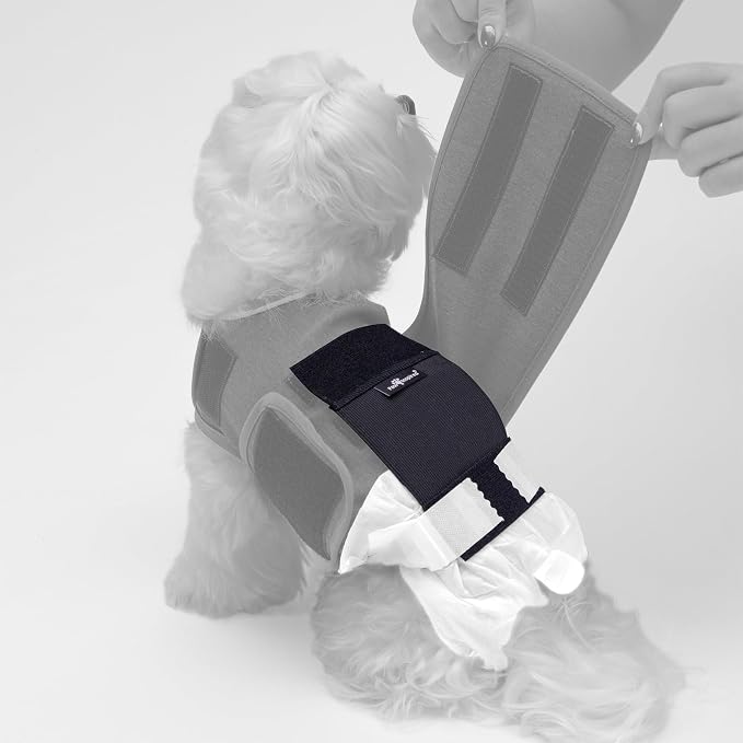 Paw Inspired Stay Put Dog Diaper Holder for Use with Calming Anxiety Vest (Sold Separately), Compatible with Disposable or Washable Dog Diapers