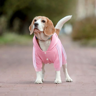 Dog Hoodie Security Clothes 4 Legs Jumpsuit Sweatshirt Soft & Warm Dog Outfit Pullover Dog Winter Clothes Sweater for Small Medium Large Dogs Cats (Pink, Medium)