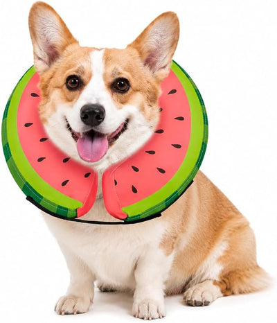 MIDOG Soft Inflatable Dog Cone, Donut E-Collar Alternative for After Surgery, Prevents Licking, Allowing Normal Eating & Vision, Comfortable Recovery Collar for Small Medium Large Dogs & Cats, Red-S