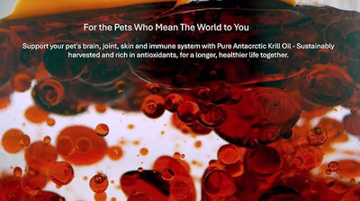kril™ Antarctic Krill Oil Health Supplement for Dogs & Cats 4oz Liquid with QRILLPet ASTA Omega Plus, High Absorption Formula, Joint Brain Skin Support with Omega-3, Astaxanthin