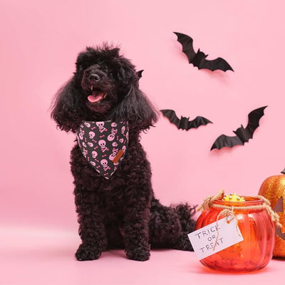 PTDECOR Halloween Dog Bandana, Pink Skeleton Pumpkin Reversible Holiday Dog Scarf, Triangle Female Halloween Bandanas for Small Dogs Puppies Cats(Small)