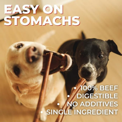 Bully Bunches 12 Inch Collagen Wrapped in Beef Bully Stick | Consistently Sized, All-Natural, Long Lasting Dog Chew | Dental Stick for Avid Chewers (12 Inch, 5 Pack)
