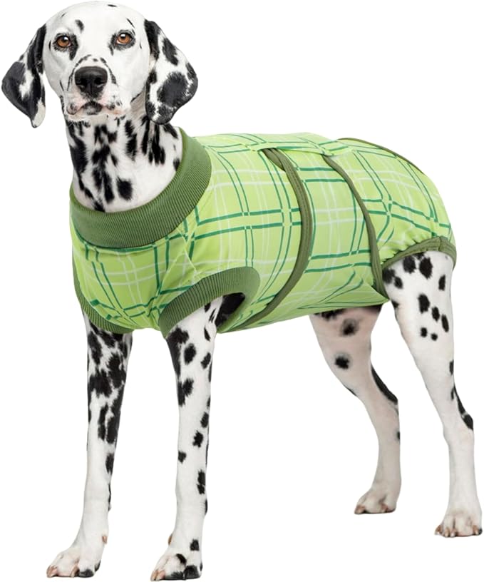 Dog Recovery Suit for Female Male Dogs, Post-Surgery Bodysuit for Spay Neuter, Dog Onesie After Surgery, Anti-Licking Pet Surgical Recovery Suit, Green XXL