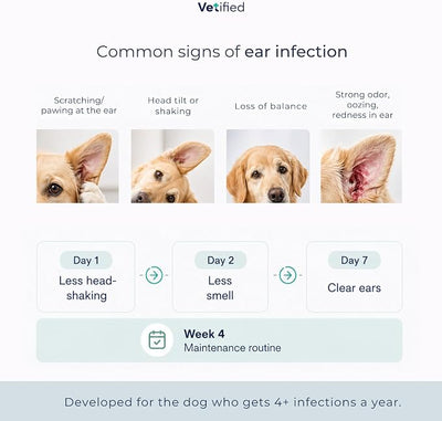 Ear Infection Treatment XL+ Dogs & Cats Ear Cleaner - 2 in 1 Dual Action Help with Yeast, Odor, Earwax & Buildup - 12 fl oz - NDC: 86247-004-12
