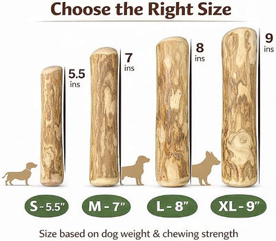 Coffee Wood Dog Chew - Natural Stick for Moderate Chewers, Safe Alternative to Nylon & Plastic, Large