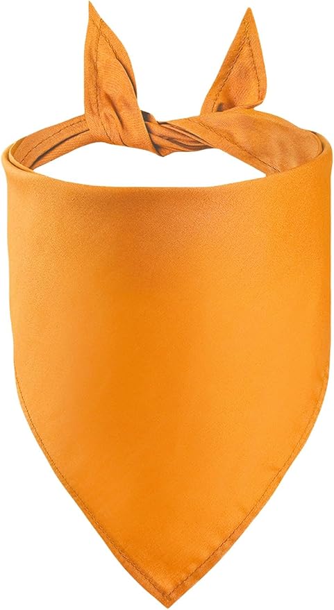Petitebella Single Color Pet Bandana (Orange, Small)