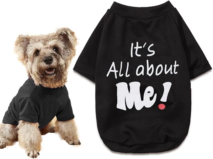 Yorkie Clothes Funny Small Dog T Shirt Black Dog Clothes, M | It's All About Me Print | Summer Stretchy Breathable Fabric | High Belly Cut | Summer Cooling Style