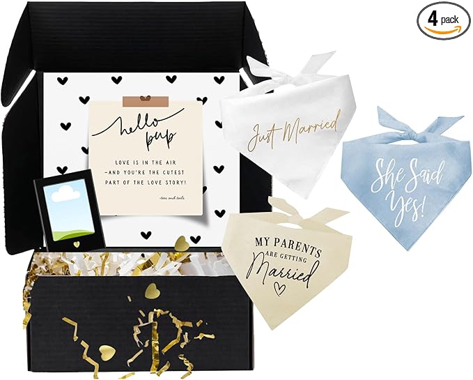 Dog Bridal, Wedding Gift Box – 3 Cotton Bandanas (My Parents are Getting Married, Just Married, She Said Yes!) & Magnetic Photo Frame 2.5" x3,5 |Baby Blue, One Size (332)