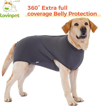 LovinPet Dog Recovery Suit, Snap-Back Post-Op Onesie for Large Dogs, Post-Spay Bodysuit for Female Dogs with Cushioned Belly Panel, Grey, L