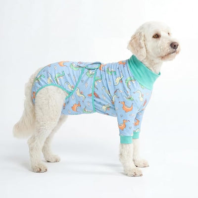 Spark Paws Dog Surgery Recovery Suit – Dog Recovery Suit After Surgery, Anti-Lick Dog Onesie, Abdominal Wound Protector, Soft Cone Alternative for Spay Neuter Male Female Pet Recovery - Dragons - 2XL