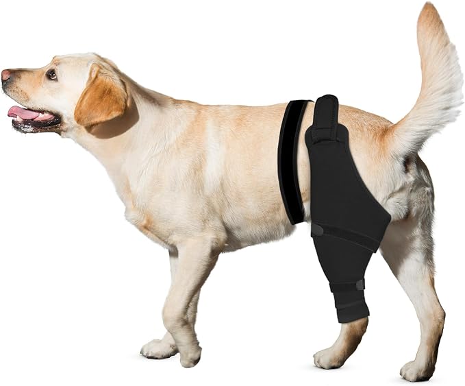 Dog Rear Leg Sleeve to Stop Licking, Hind Leg Protector After TPLO Recovery, ACL Surgery, Wounds or Skin Issues, Soft Breathable Comfortable Cover for Large Medium Small Dogs, M,Left, Matte Black