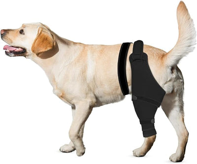 Dog Rear Leg Sleeve to Stop Licking, Hind Leg Protector After TPLO Recovery, ACL Surgery, Wounds or Skin Issues, Soft Breathable Comfortable Cover for Large Medium Small Dogs, S,Left, Matte Black